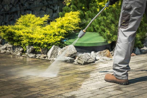 Best Sidewalk and Walkway Cleaning  in Yutan, NE